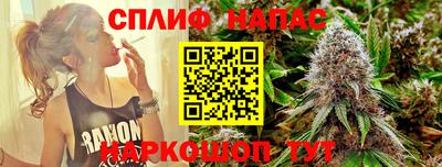 соль ск Новозыбков