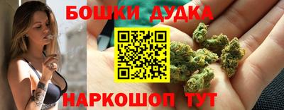 соль ск Новокубанск