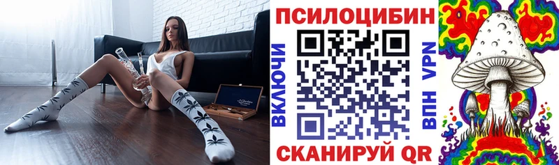 Псилоцибиновые грибы мицелий  shop состав  Старая Купавна  хочу наркоту  ссылка на мегу вход 