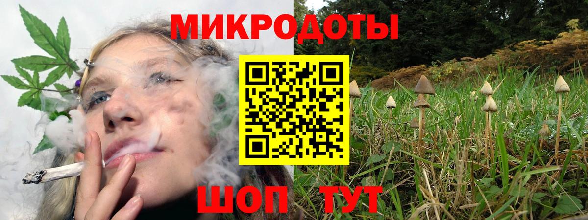 Псилоцибиновые грибы Cubensis Старая Купавна
